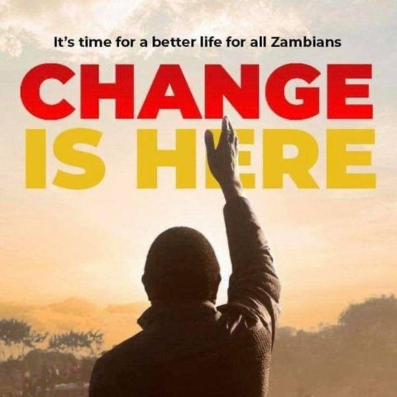 Meet your Posher, Tandy - Picture 1 of 1